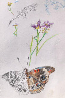 Untitled Untitled